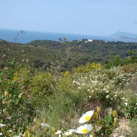 아파트 Great Walking Distance To Beautiful Beach *